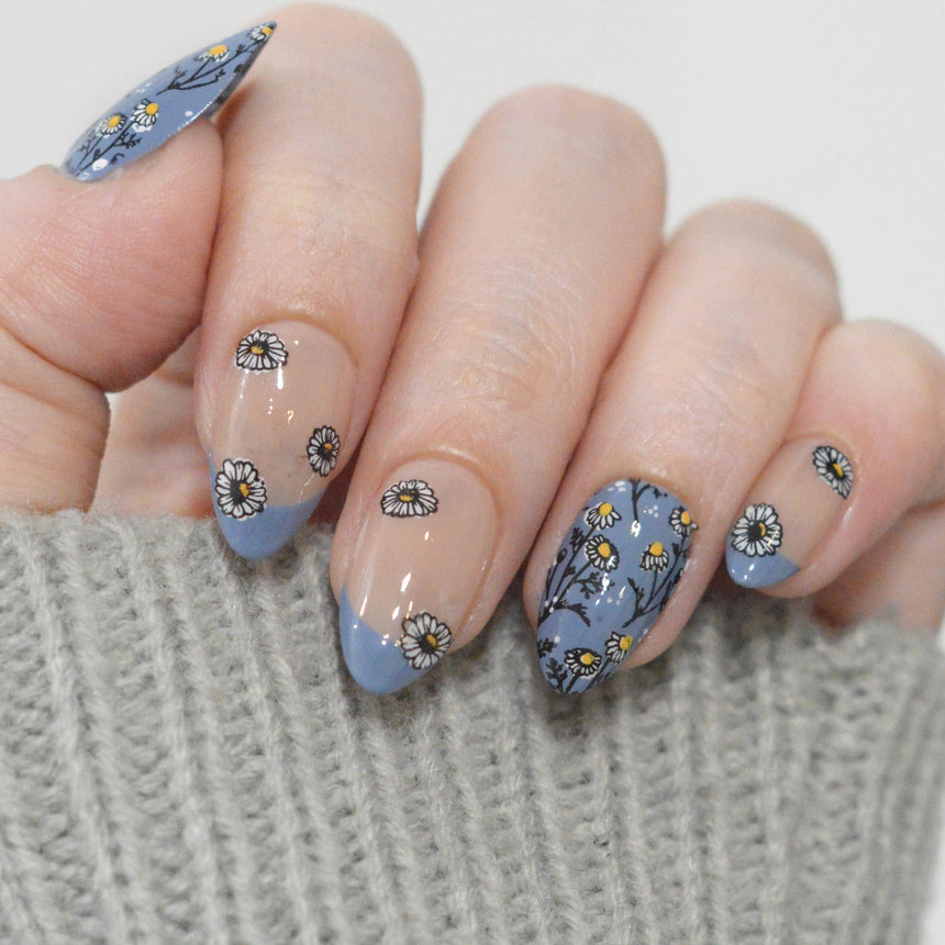 Chamomile Melody (M683) - Nail Stamping Plate