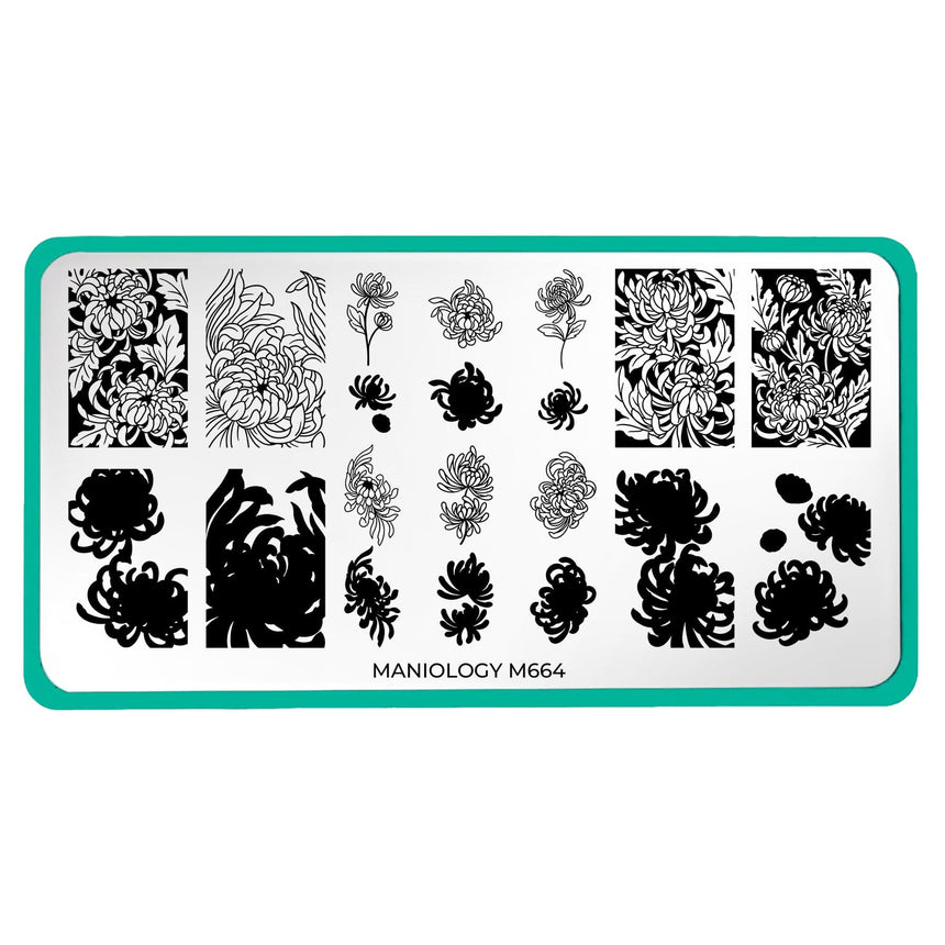 Chrysanthemum Blossoms (M664) - Nail Stamping Plate