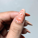 Chrysanthemum Blossoms (M664) - Nail Stamping Plate