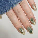 Chrysanthemum Blossoms (M664) - Nail Stamping Plate