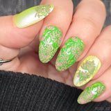 Chrysanthemum Blossoms (M664) - Nail Stamping Plate