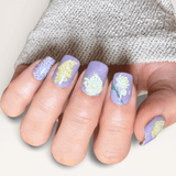 Chrysanthemum Blossoms (M664) - Nail Stamping Plate