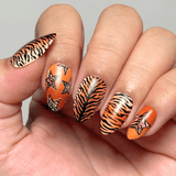 Clawed and Dangerous (M690) - Nail Stamping Plate
