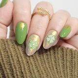 Clover Craze (M561) - Nail Stamping Plate