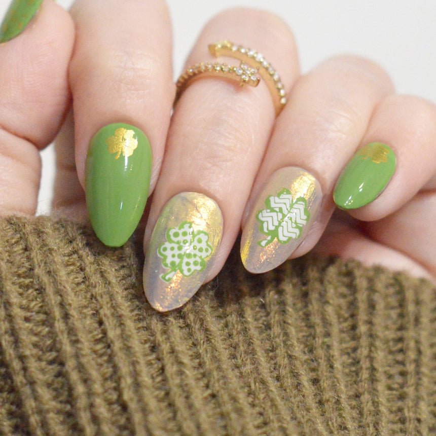 Clover Craze (M561) - Nail Stamping Plate