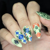 Colorful Stories (M698) - Nail Stamping Plate