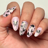 Delicate Wings (M693) - Nail Stamping Plate