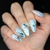 Dreaming Lotus (M672) - Nail Stamping Plate