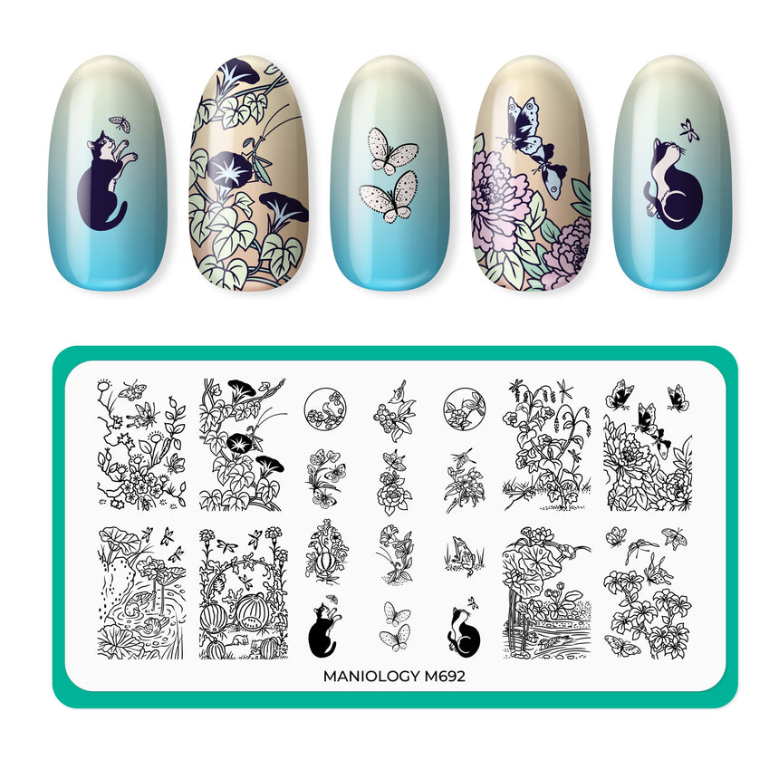 Everyday Beauties (M692) - Nail Stamping Plate