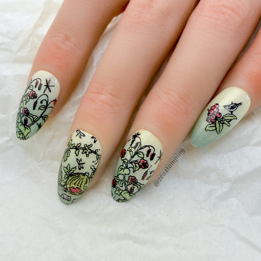 Everyday Beauties (M692) - Nail Stamping Plate
