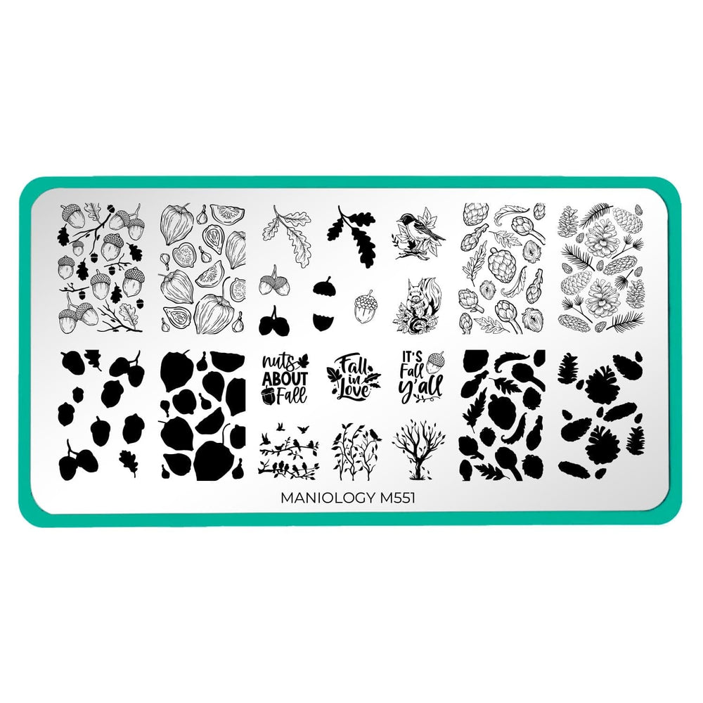 Figs & Acorns (M551) - Nail Stamping Plate