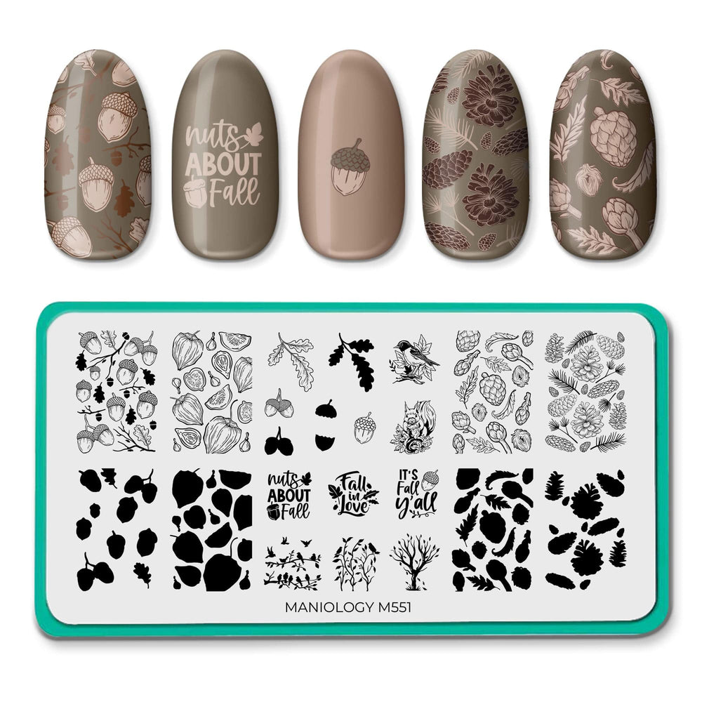 Figs & Acorns (M551) - Nail Stamping Plate