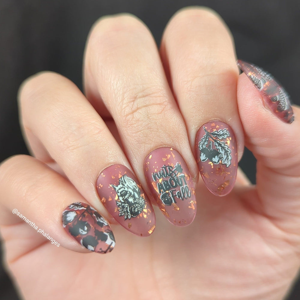 Figs & Acorns (M551) - Nail Stamping Plate