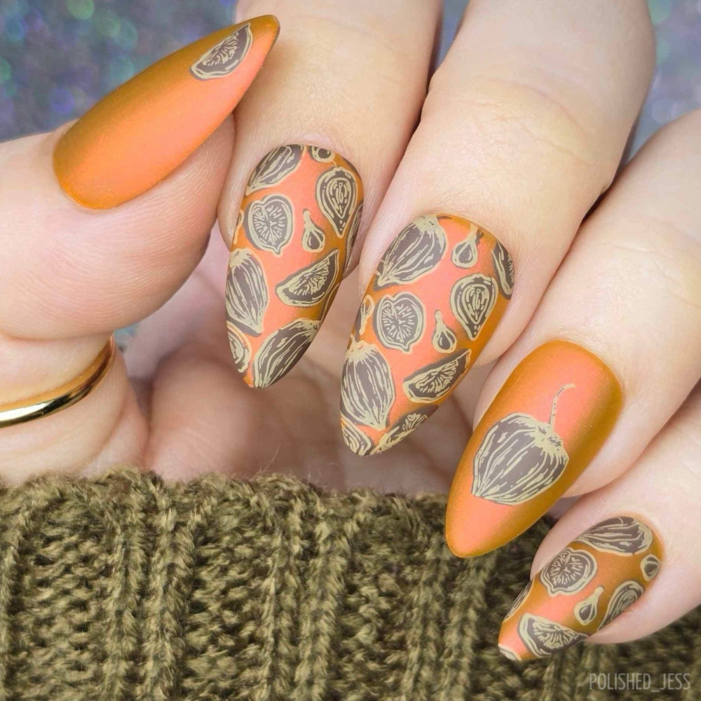 Figs & Acorns (M551) - Nail Stamping Plate