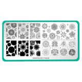 Fireworks Frenzy (M445) - Nail Stamping Plate