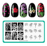 Flora Exotica (M707) - Nail Stamping Plate