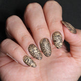Floral Fantasy (M568) - Nail Stamping Plate