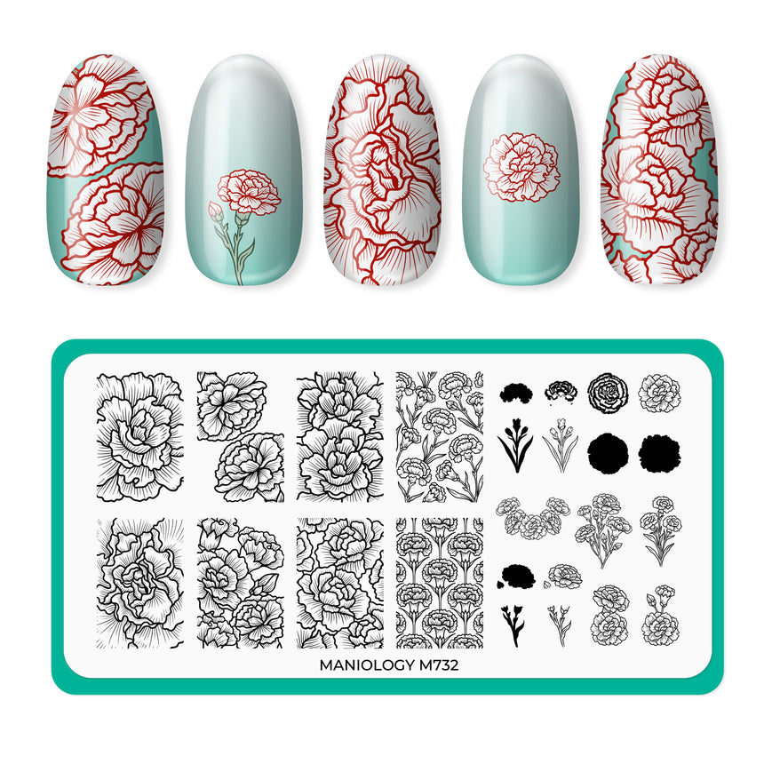 Forever Carnations (M732) - Nail Stamping Plate