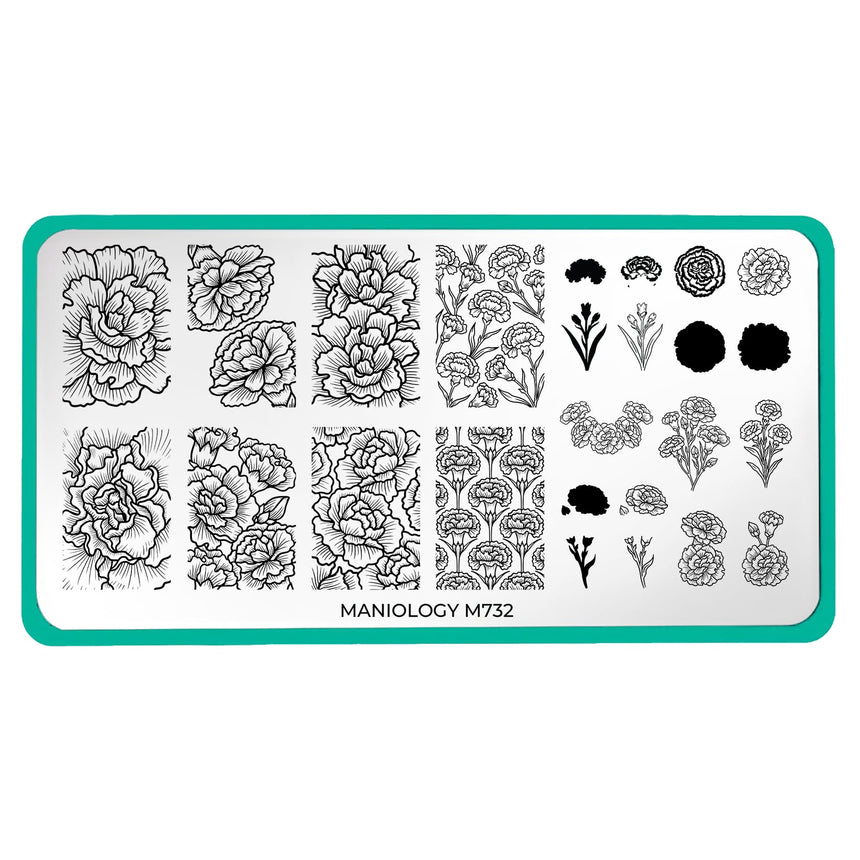 Forever Carnations (M732) - Nail Stamping Plate