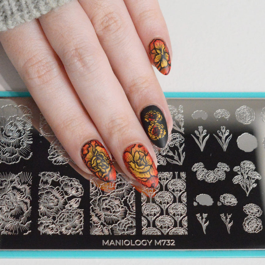 Forever Carnations (M732) - Nail Stamping Plate