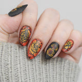 Forever Carnations (M732) - Nail Stamping Plate