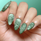Forever Carnations (M732) - Nail Stamping Plate