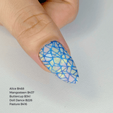 Shape Up (M662) - Nail Stamping Plate