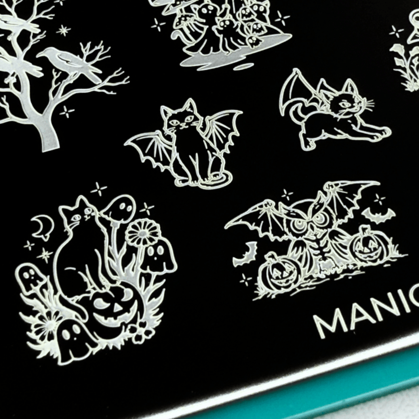 Friendly Familiars (M617) - Nail Stamping Plate