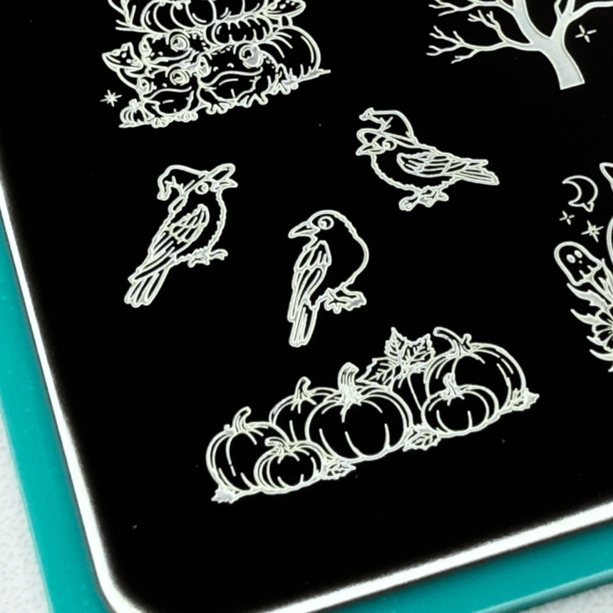 Friendly Familiars (M617) - Nail Stamping Plate