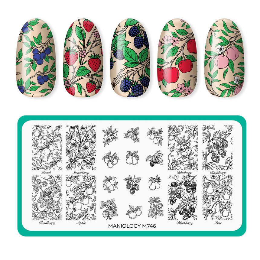 Fruit Snacks (M746) - Nail Stamping Plate