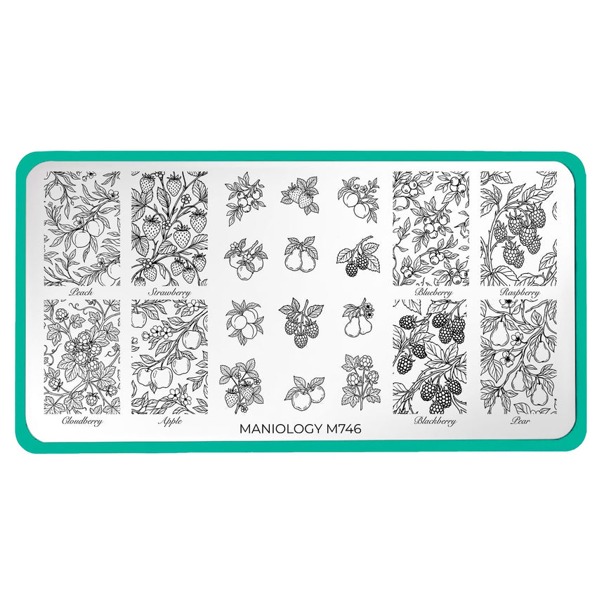 Fruit Snacks (M746) - Nail Stamping Plate