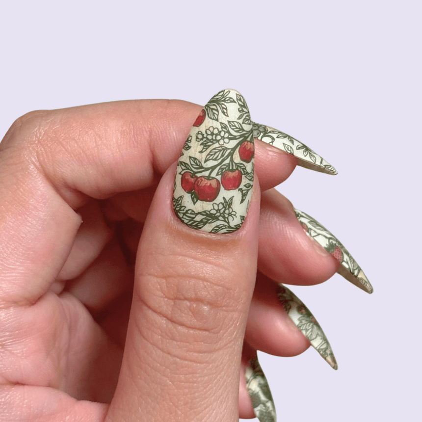 Fruit Snacks (M746) - Nail Stamping Plate