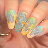 Garden Fresh (M701) - Nail Stamping Plate