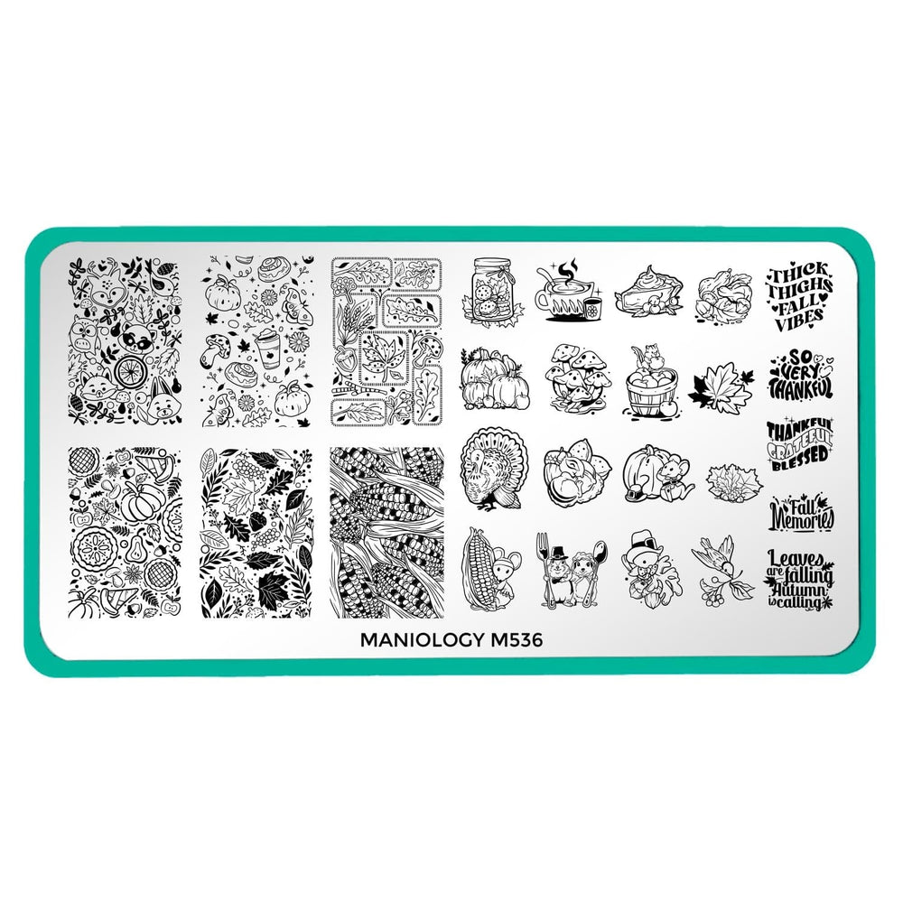 Give Thanks (M536) - Nail Stamping Plate