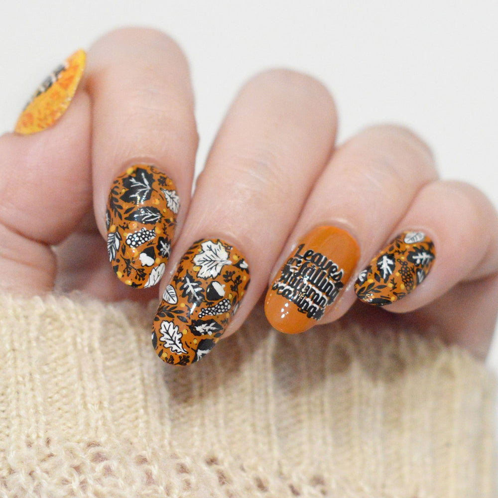 Give Thanks (M536) - Nail Stamping Plate