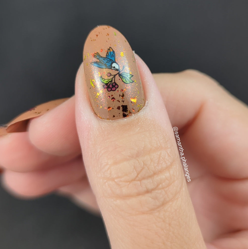 Give Thanks (M536) - Nail Stamping Plate