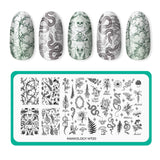 Box of Spells - Limited Edition Halloween Countdown Calendar