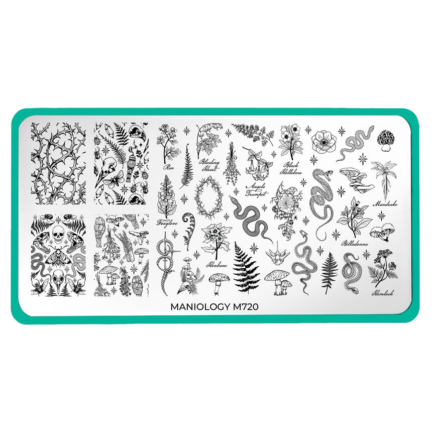 Herbarium (M720) - Nail Stamping Plate
