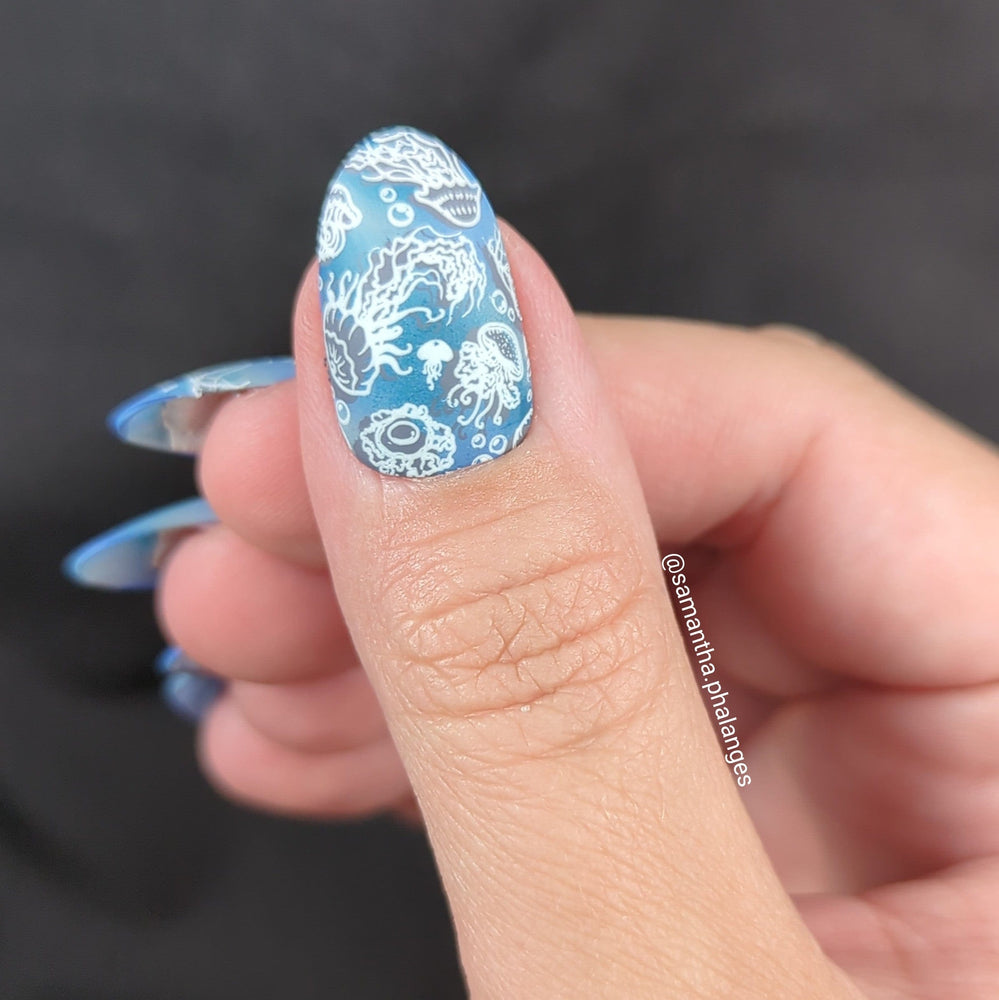 Jellyfish Bloom (M486) - Nail Stamping Plate