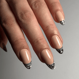 Lacey French (M477) - Nail Stamping Plate