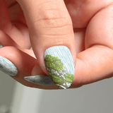 Misty Mornings (M575) - Nail Stamping Plate