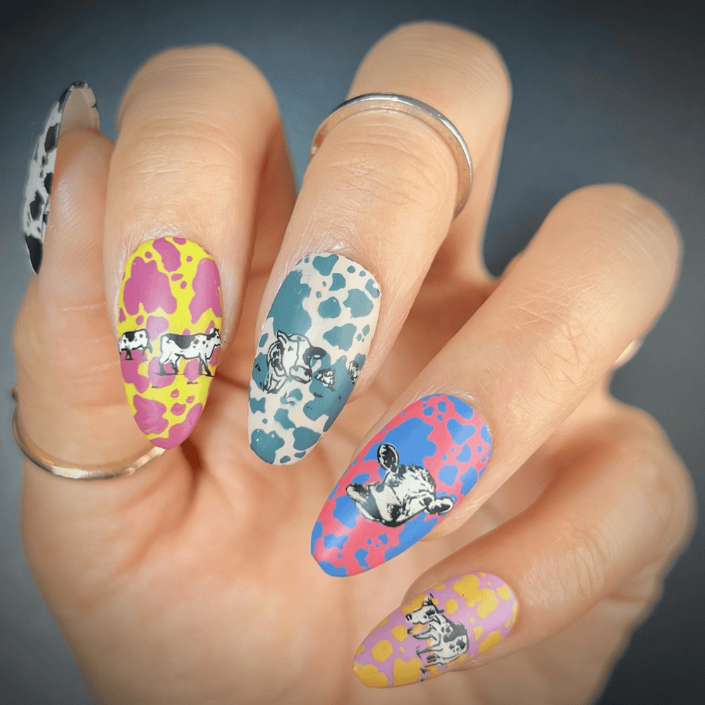 Moo-velous (M391) - Nail Stamping Plate