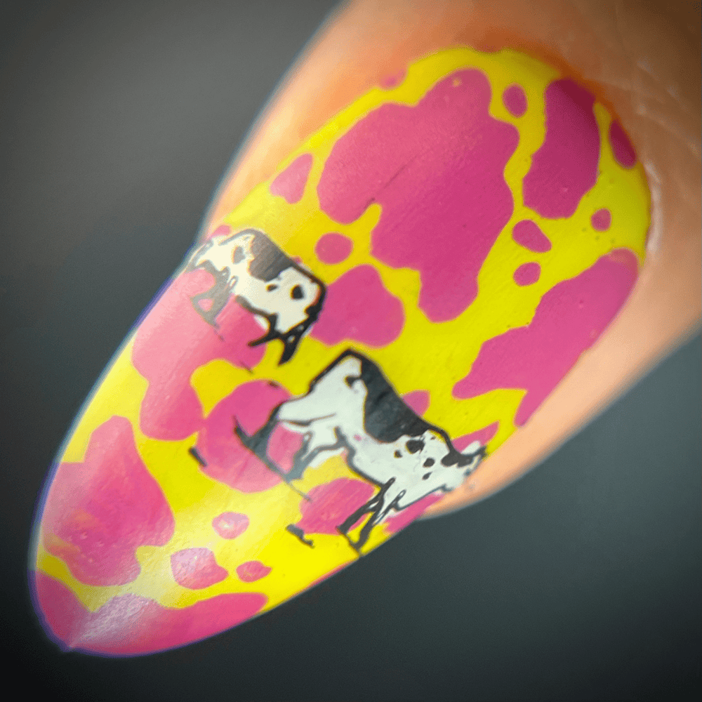 Moo-velous (M391) - Nail Stamping Plate