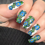 Morning Glory (M666) - Nail Stamping Plate