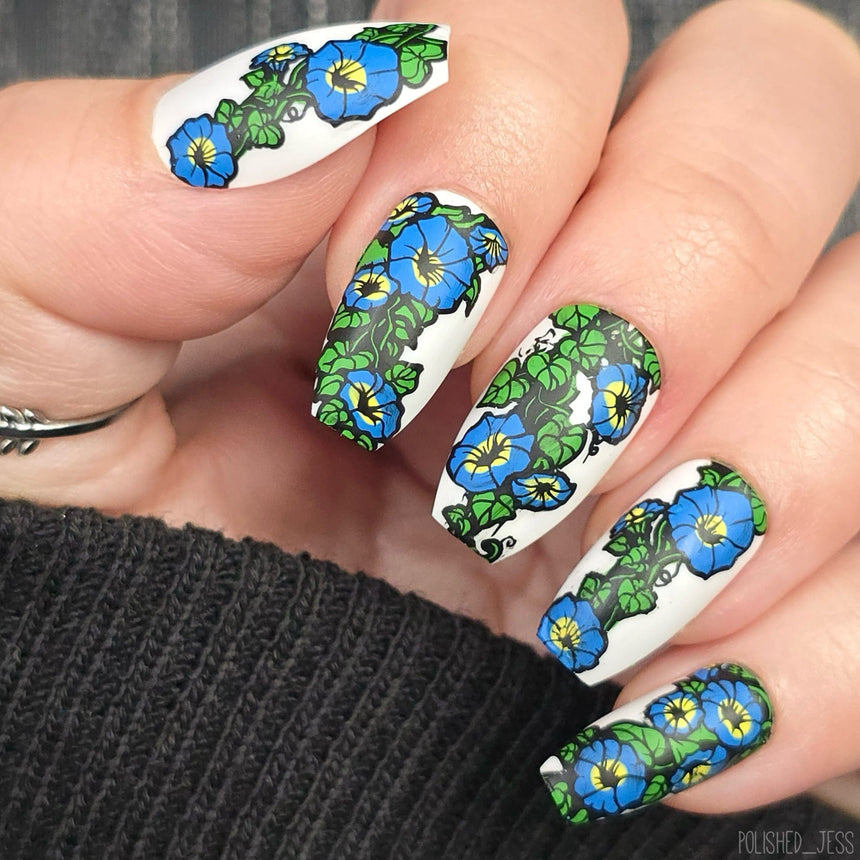 Morning Glory (M666) - Nail Stamping Plate