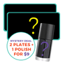 Mystery Deal - 2 Stamping Plates & 1 Stamping Polish (Limit 1 Per Order)