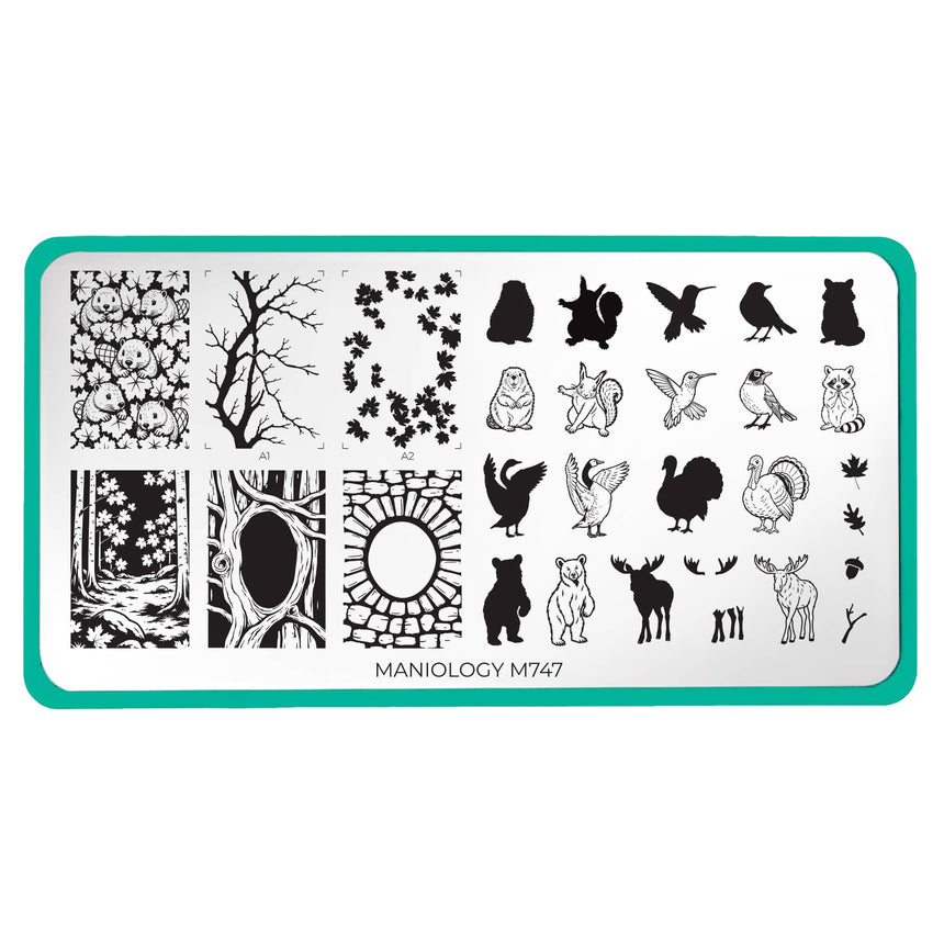 Northern Pals (M747) - Nail Stamping Plate