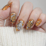 Northern Pals (M747) - Nail Stamping Plate