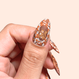 Northern Pals (M747) - Nail Stamping Plate