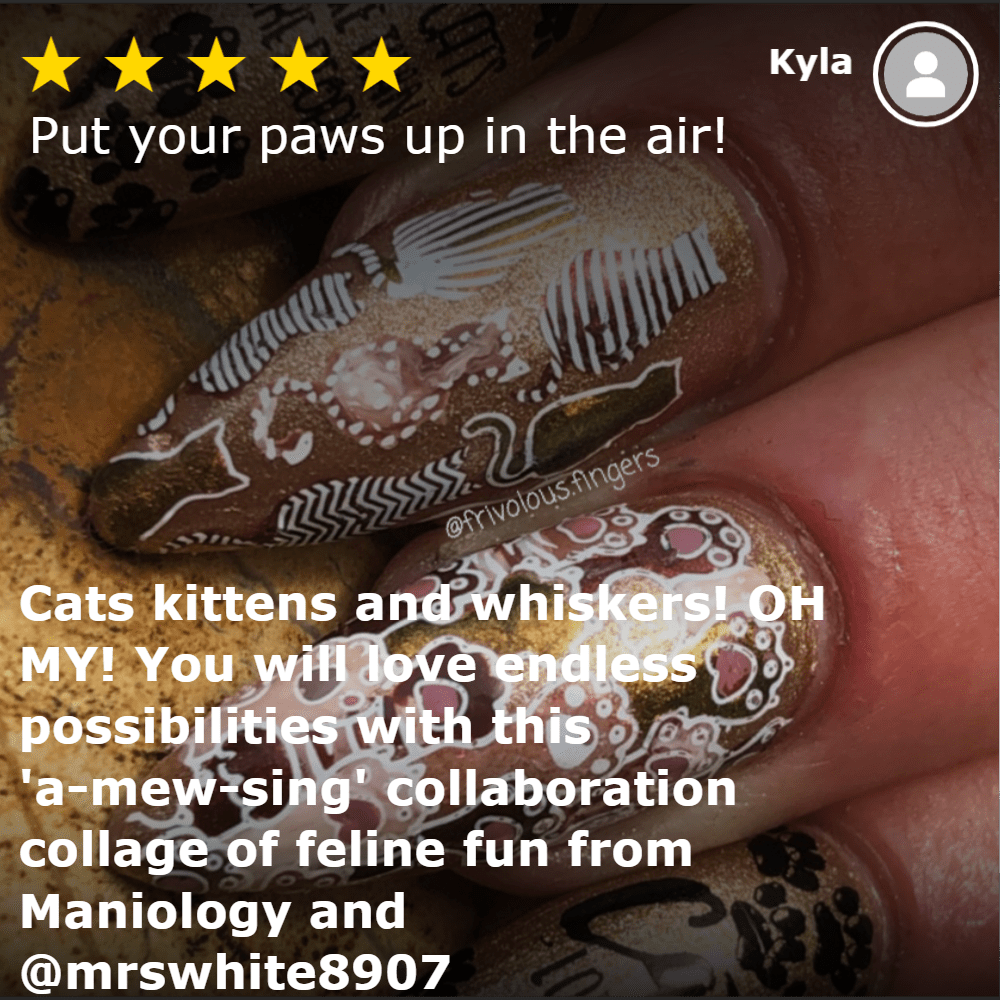 On the Prowl: Cat-Themed Nail Stamping Starter Kit